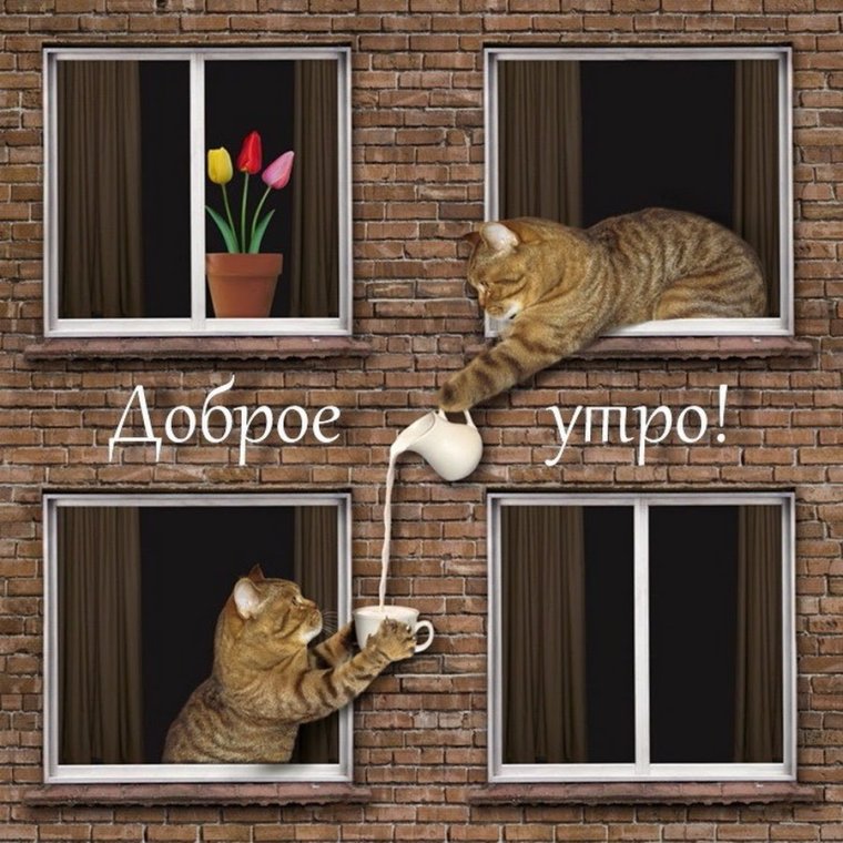 Доброе утро соседи