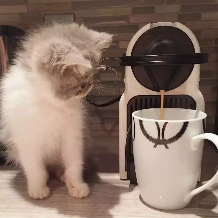 Доброе утро одевайтесь теплее