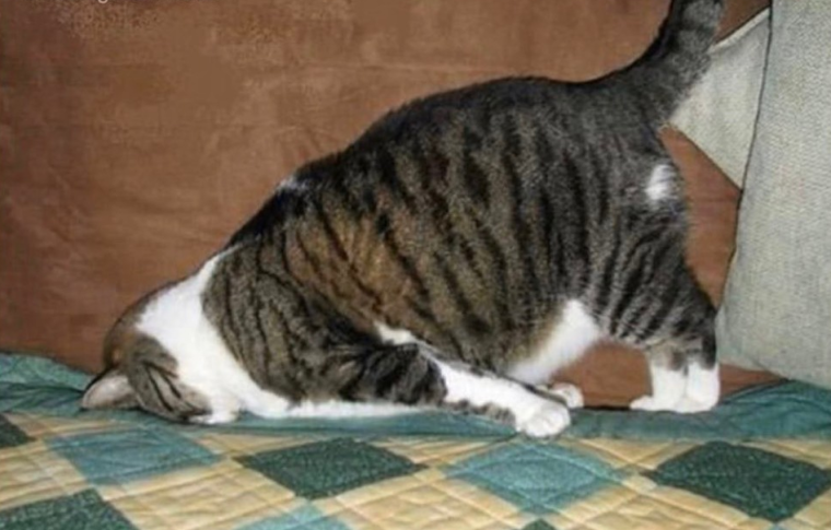 Просыпаемся улыбаемся с добрым утром