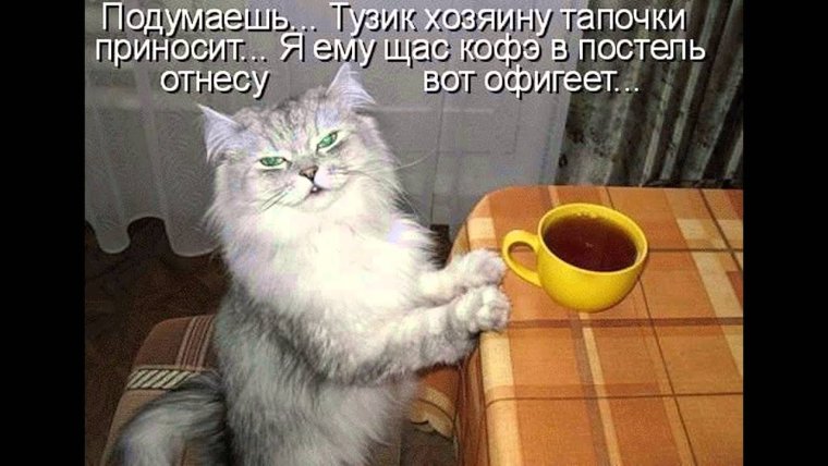 Открытки с добрым утром прикольные