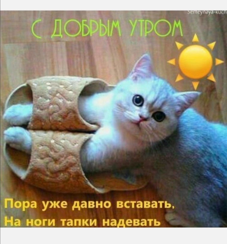 Цитаты про утро