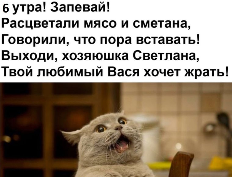 Поздравление с добрым утром с котятами