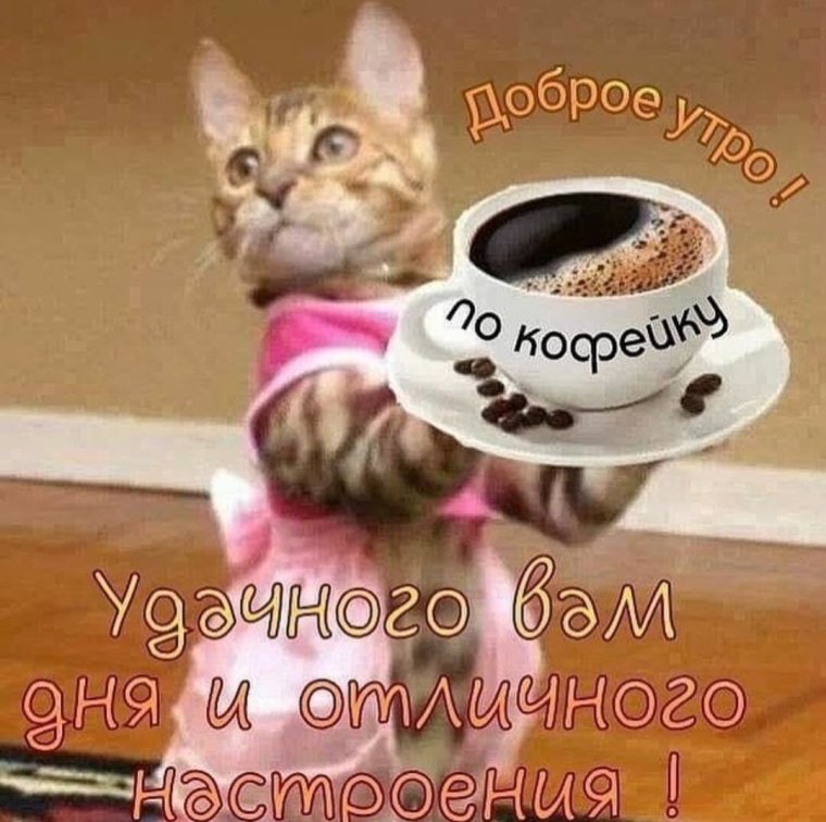 Сонное утро