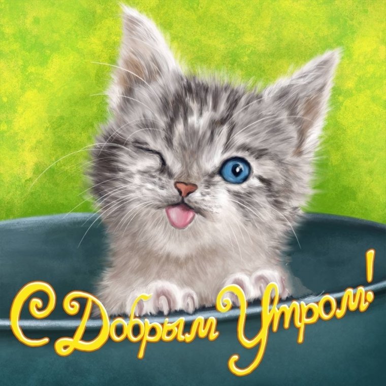 С добрым воскресным утром