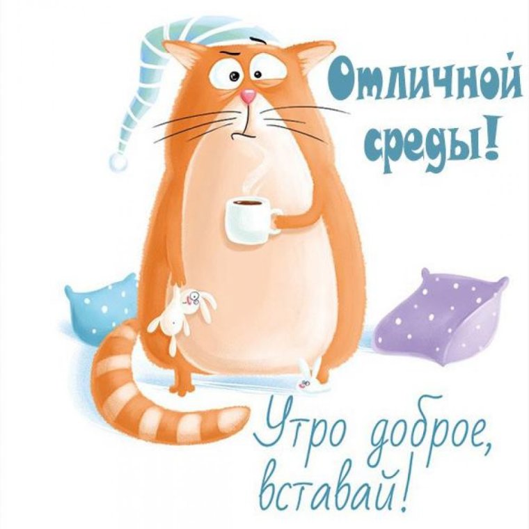Доброе утро с кошками смешные