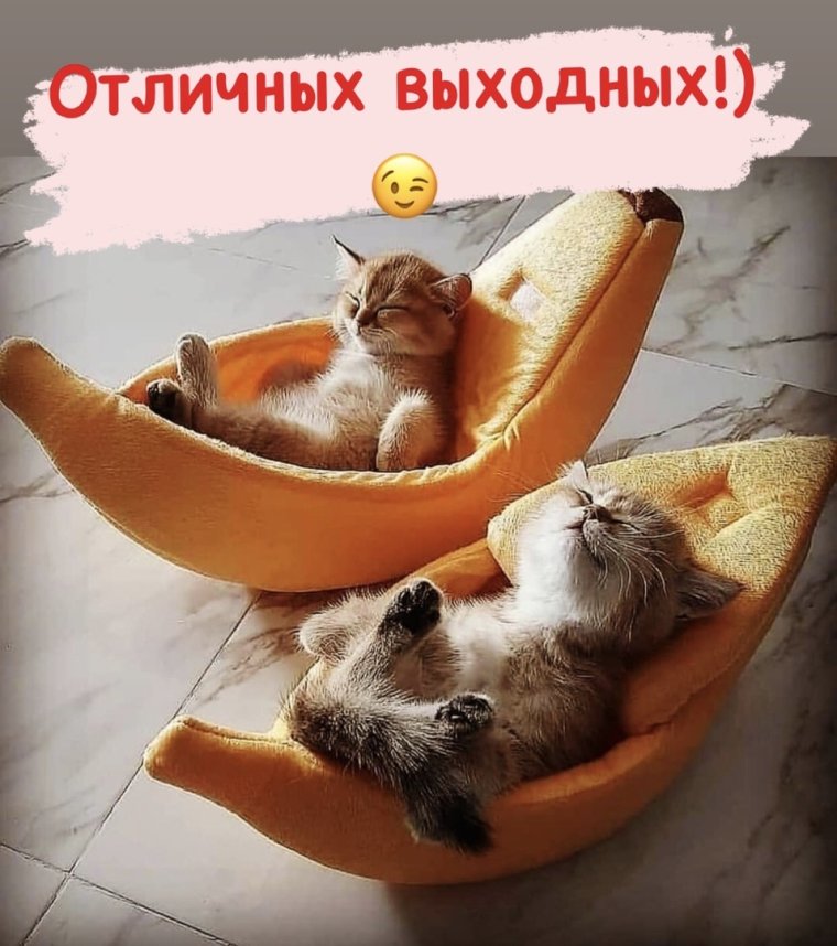 Для поднятия настроения утром