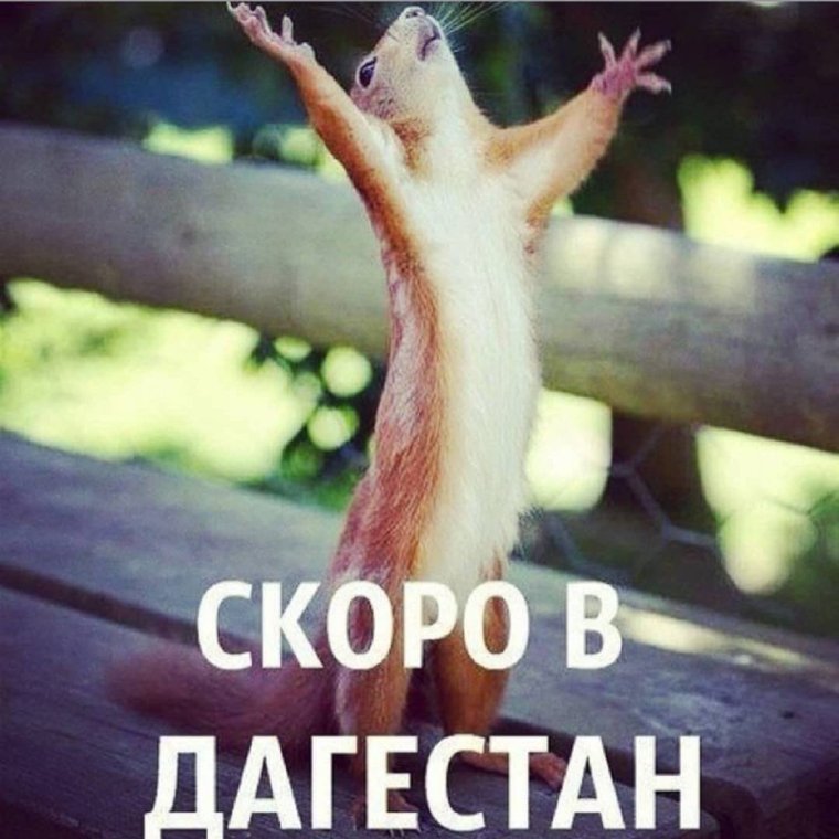 Ура скоро домой