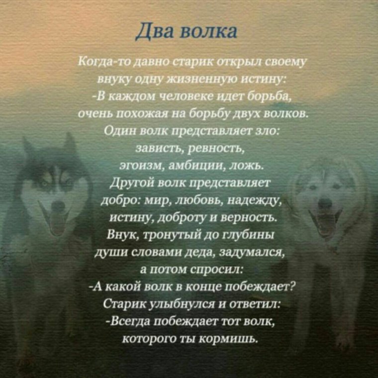 Красивая притча о любви