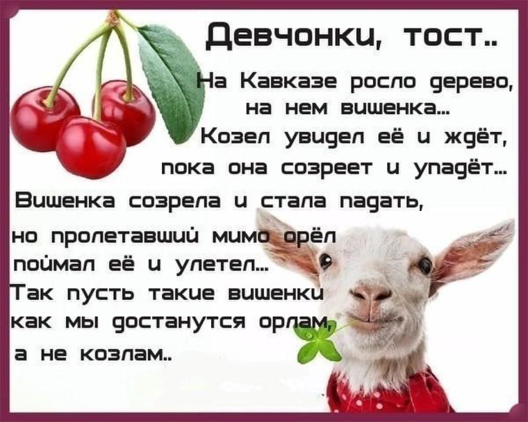 Стихи о старости