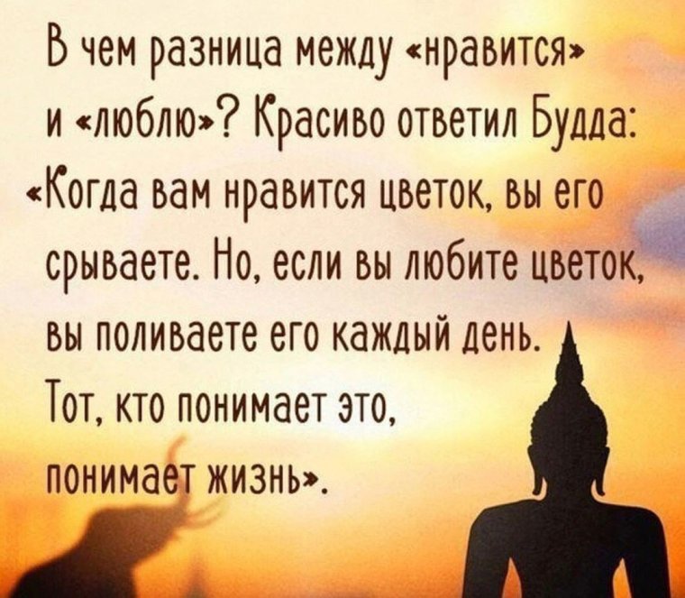 Мудрые слова Омара Хайяма