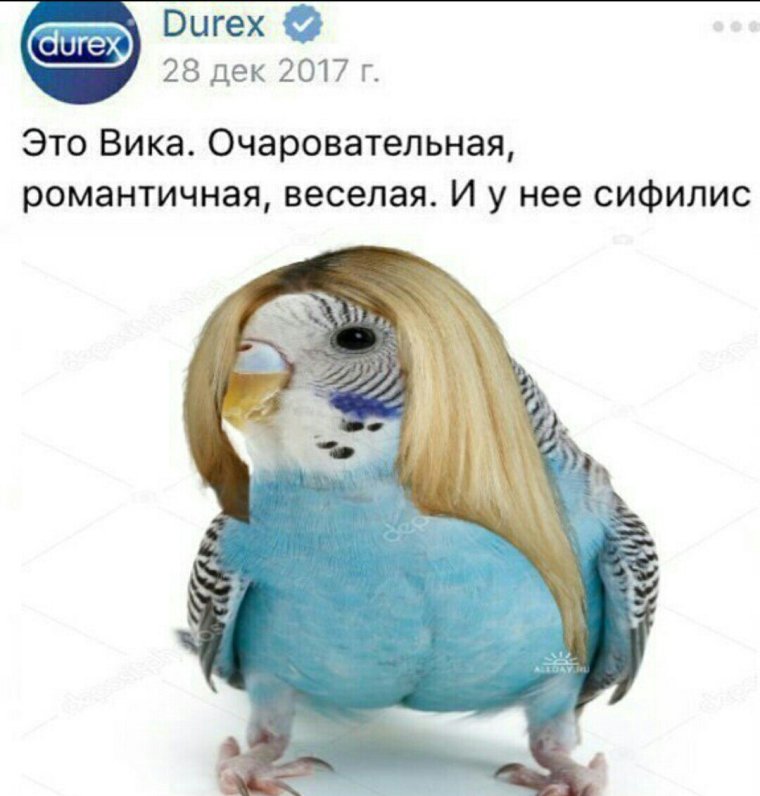 Это Вика и у нее Мем