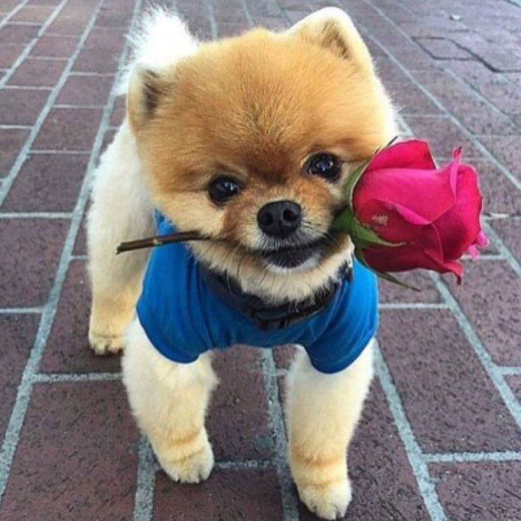 Привет Оксана