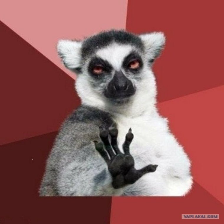 Я збагоен лемур