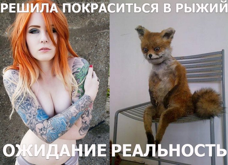 Приколы про рыжих девушек