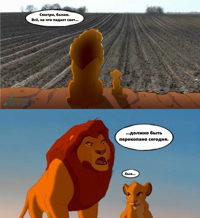 Девочка с рыжими волосами реальности