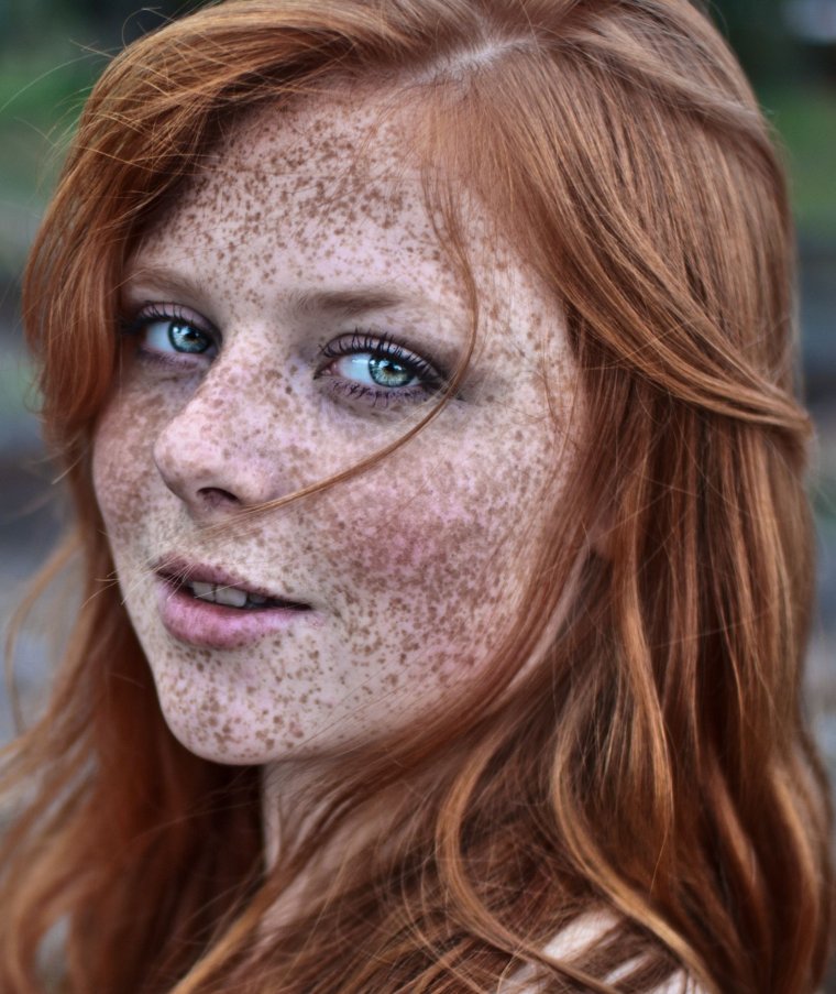 Наглая рыжая морда с надписями