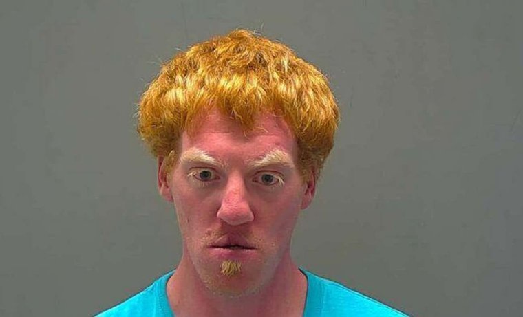 День рыжих мыслей