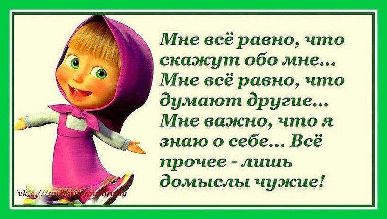 Смешные коты за рулем