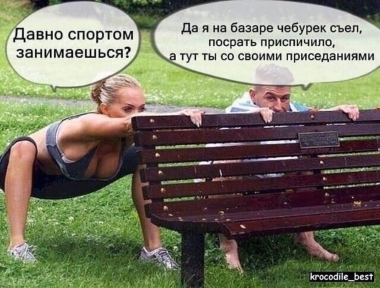 Кот на случай важных переговоров