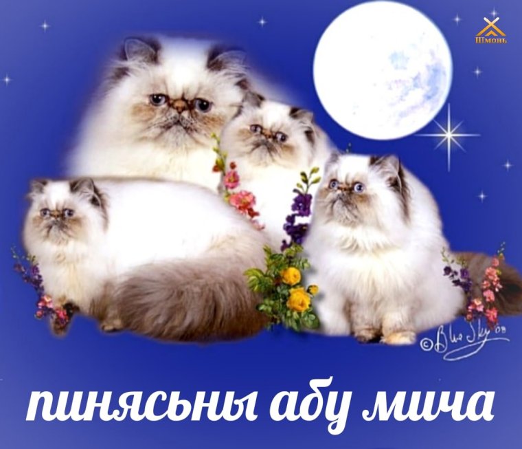 Смешные пикчи на все случаи жизни