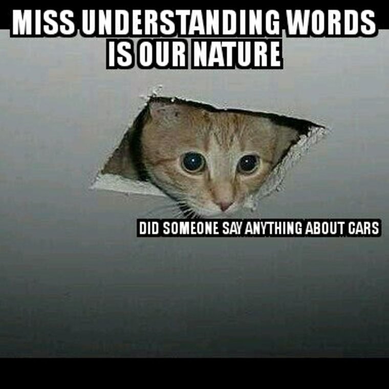 Надпись на заборе