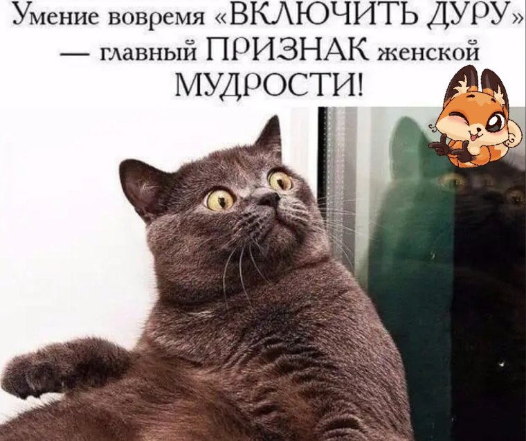 Правила русского языка на работе