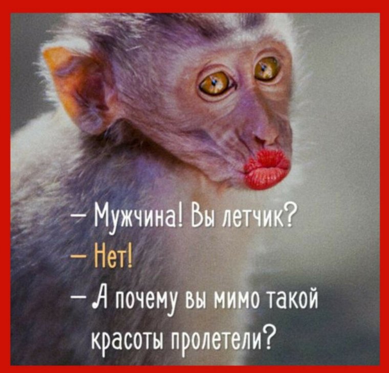 Совет дня с юмором