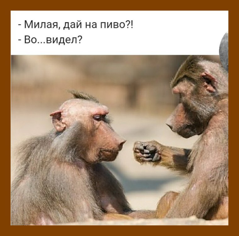 Начальник обещал дать премию овощами