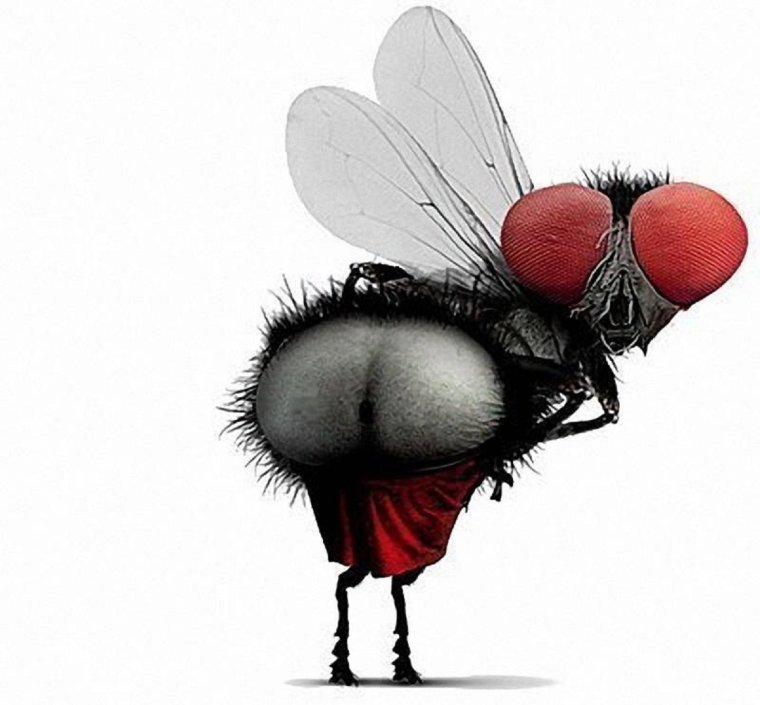 Леди Гага Наряды на Грэмми