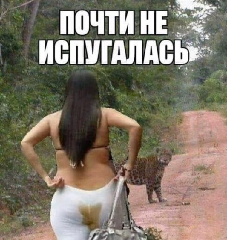 Юмор про волосы