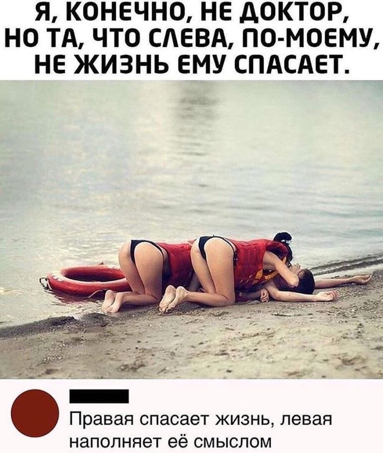 Менструальный цикл