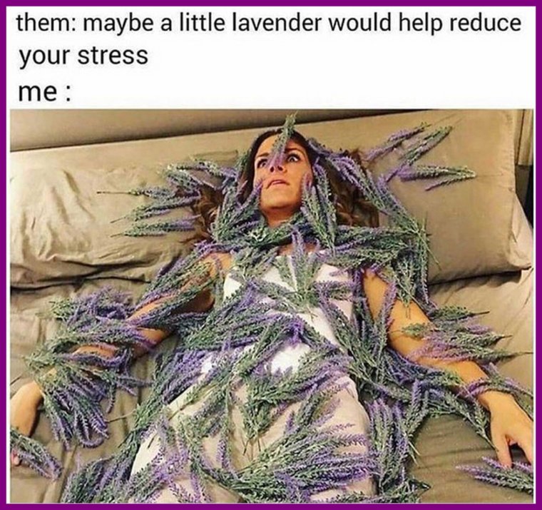 Женщина на метле стихи