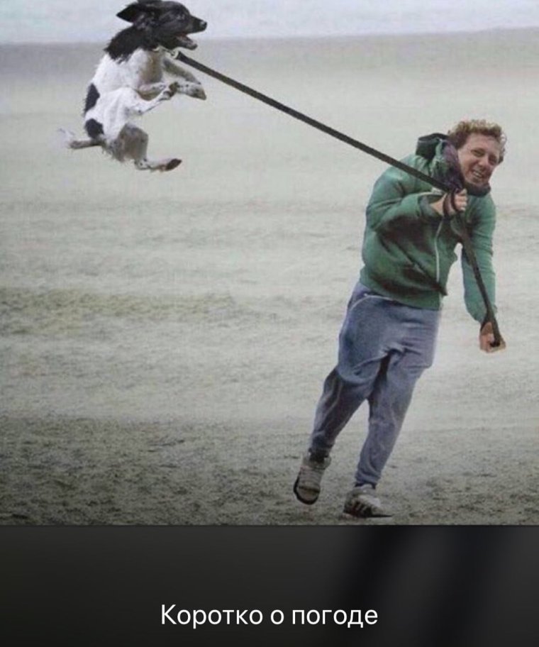 Слегка ветренно