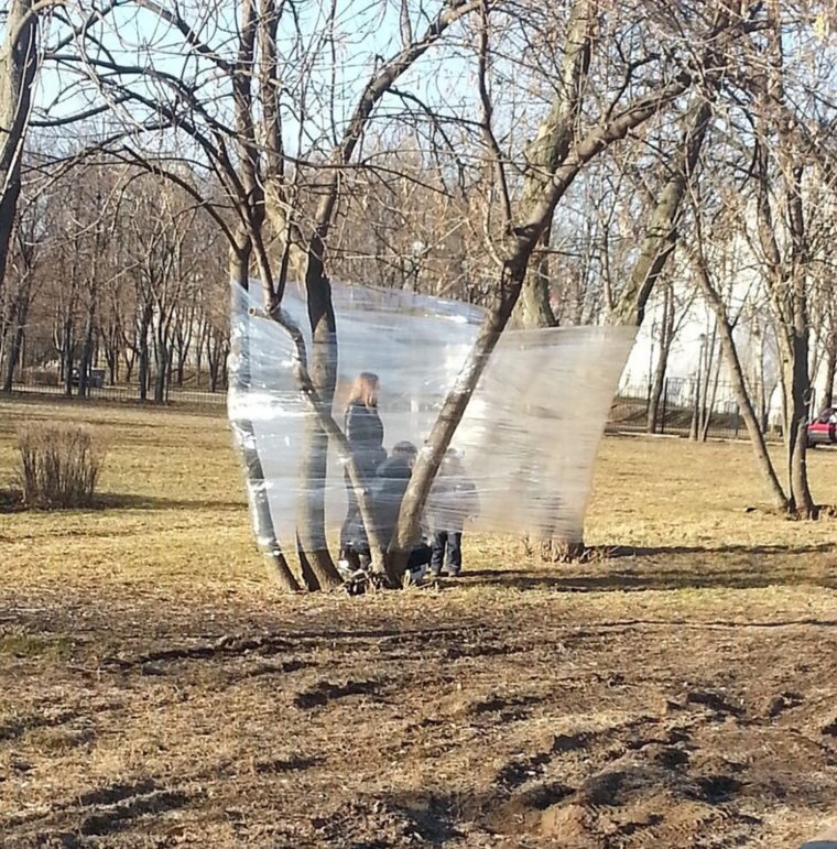 Шутки про дождливую погоду