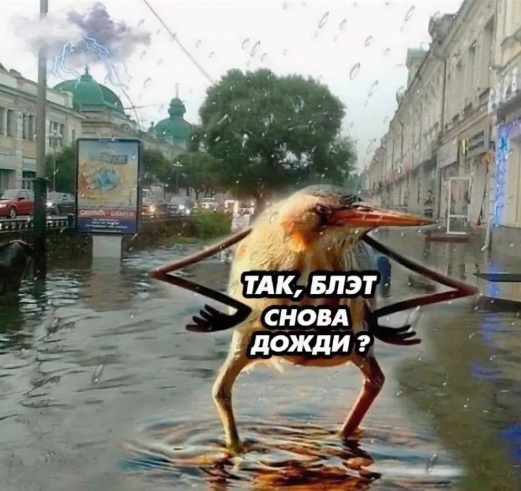 Приколы про Россию