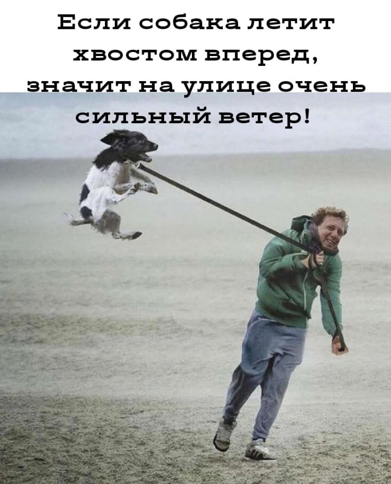 Порывы ветра фильм 2006