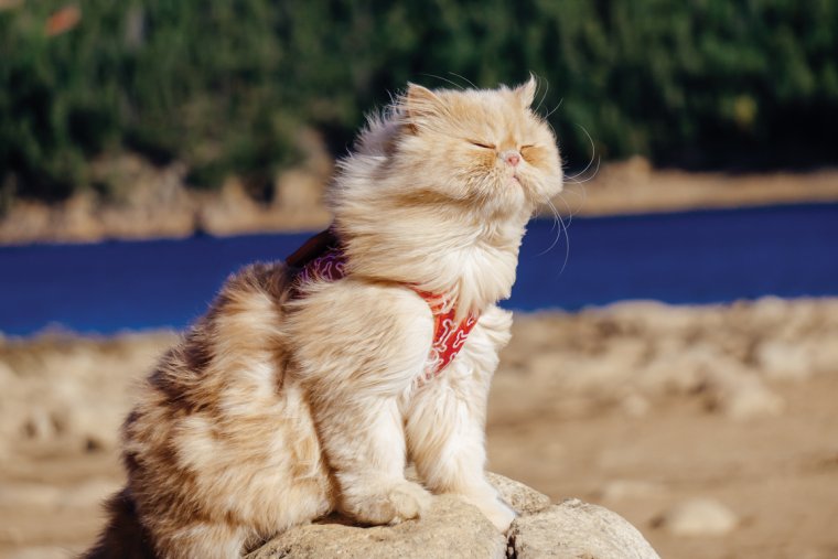 Человек идет в ураган