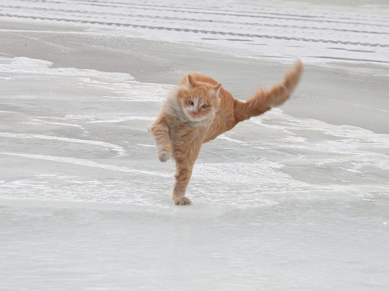 Порывы ветра и дождь