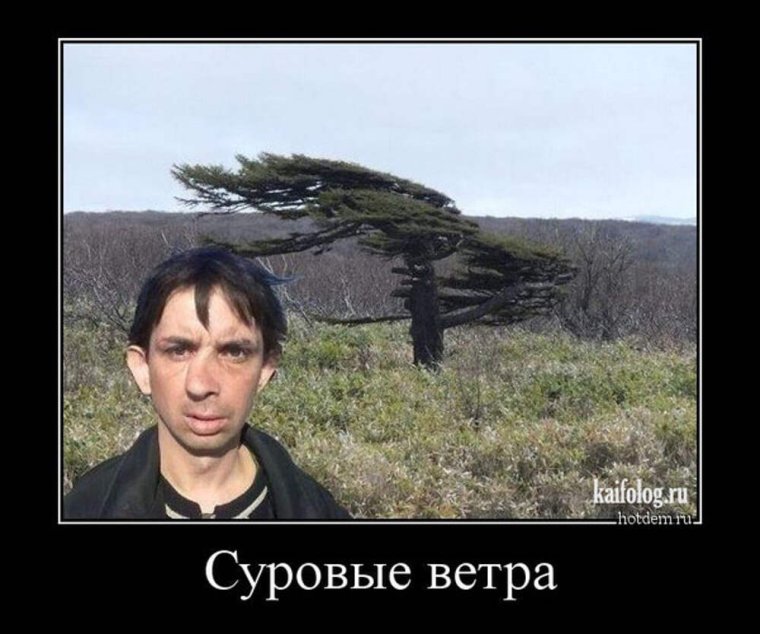 Сильный ветер смешные картинки