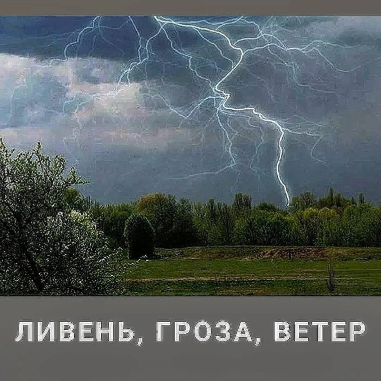 Кота сдувает ветром
