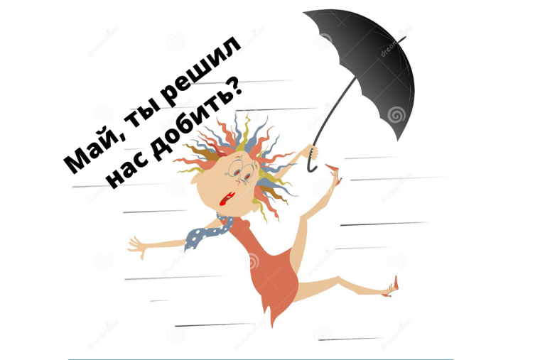 Штормовое предупреждение