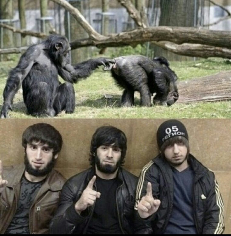 Охранники чеченцы Умара Джабраилова