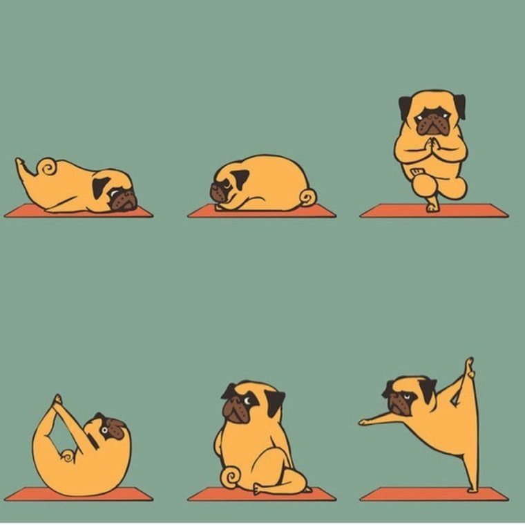 Доброе утро йога прикольное