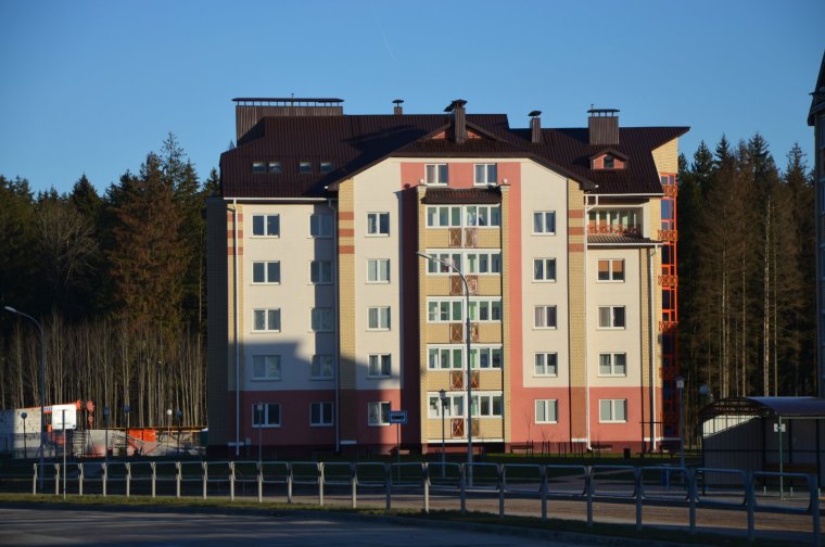 Ксения Ридель Брянск