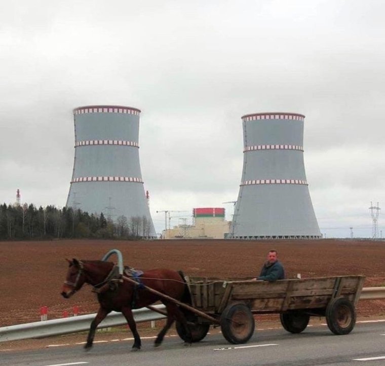 Анастасия ЦТ