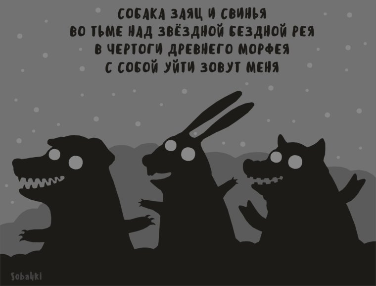 Приколы на ночь