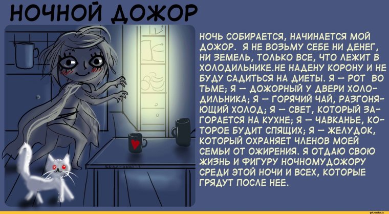 Смешной кот ночью