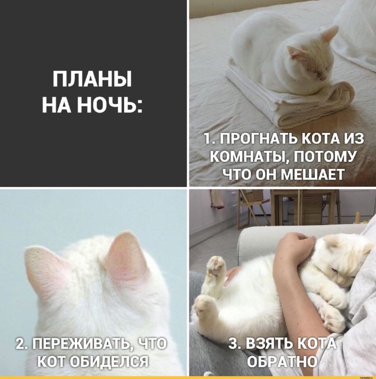 Анекдоты про зад