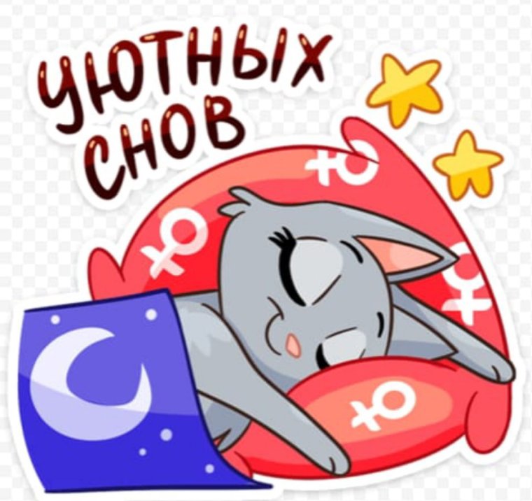 Цитаты про ночь смешные