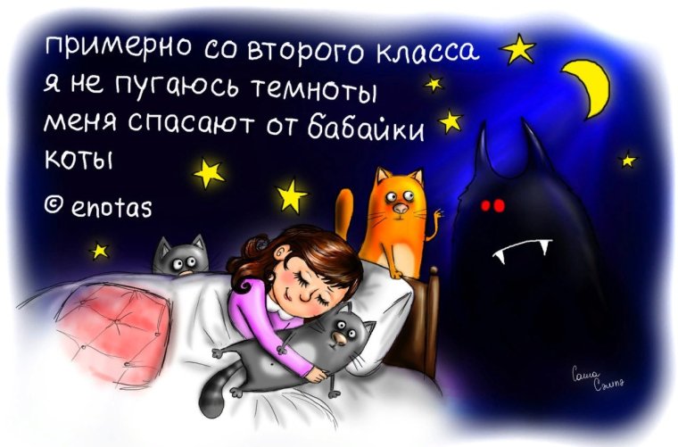 Смешные шутки на ночь